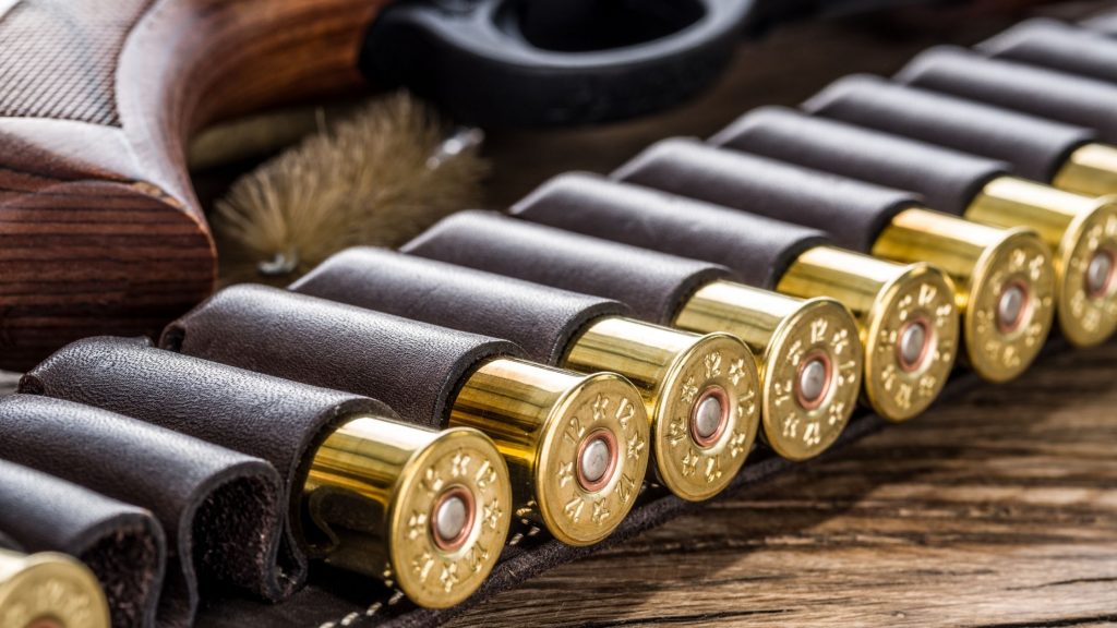 12 gauge vs 20 gauge