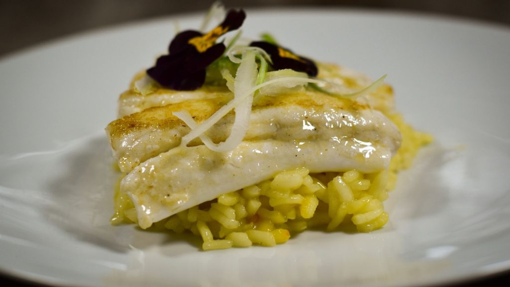 halibut on risotto