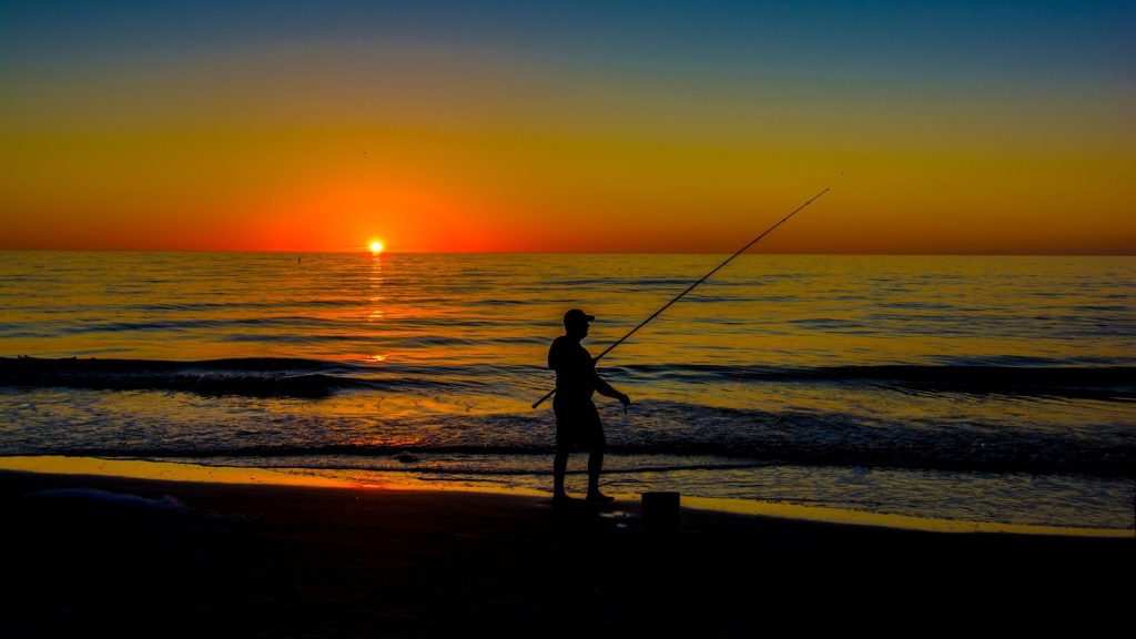 when to go surf fishing