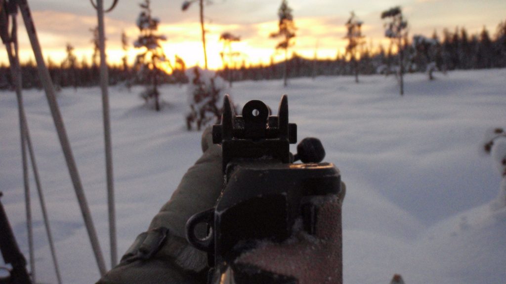 Iron sights for hunting