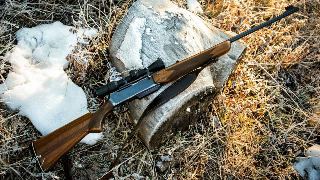 What Can You Hunt With a .22?