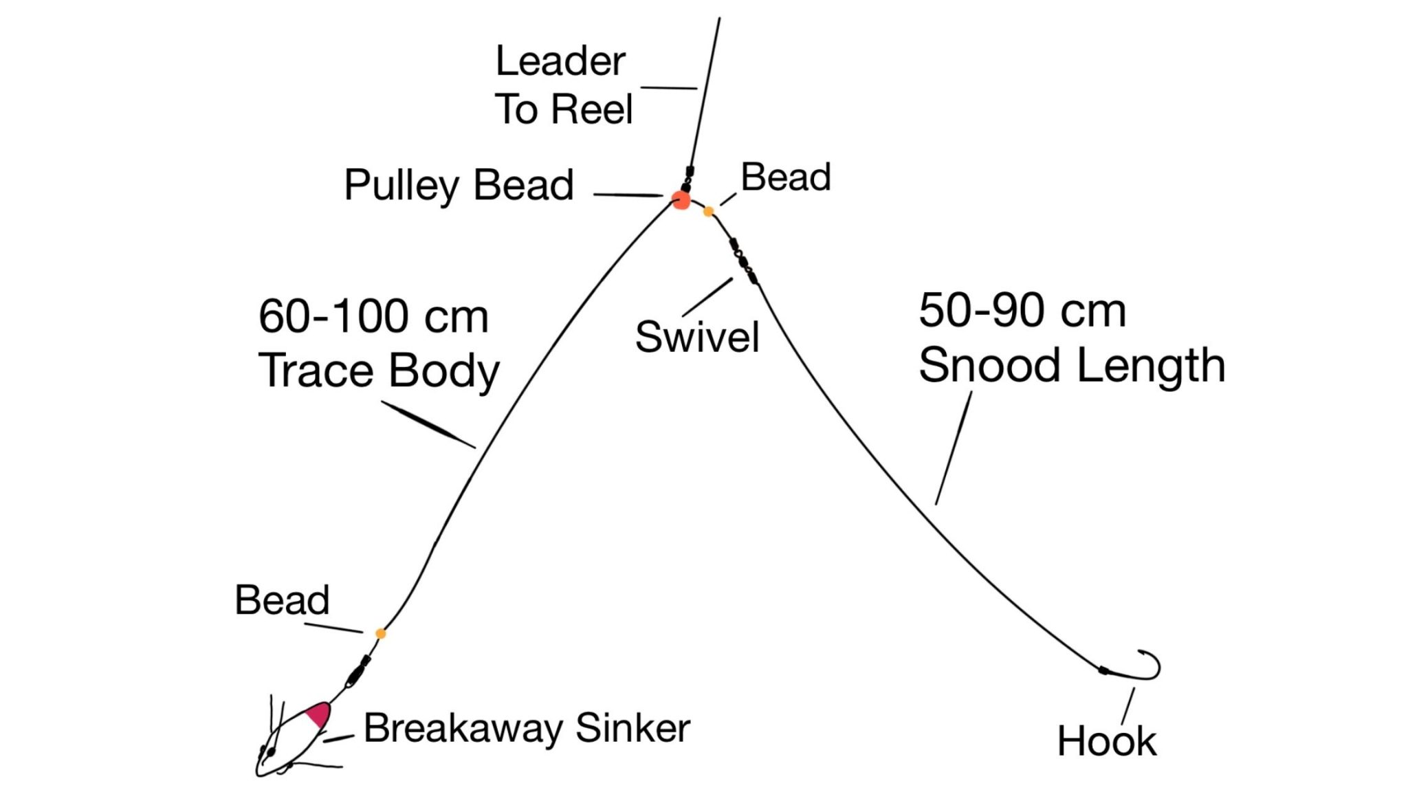 How To Catch Snapper From Shore