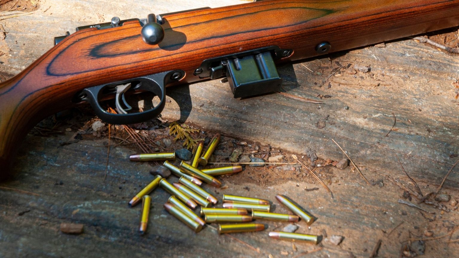 22 long rifle hollow point vs solid point for hunting