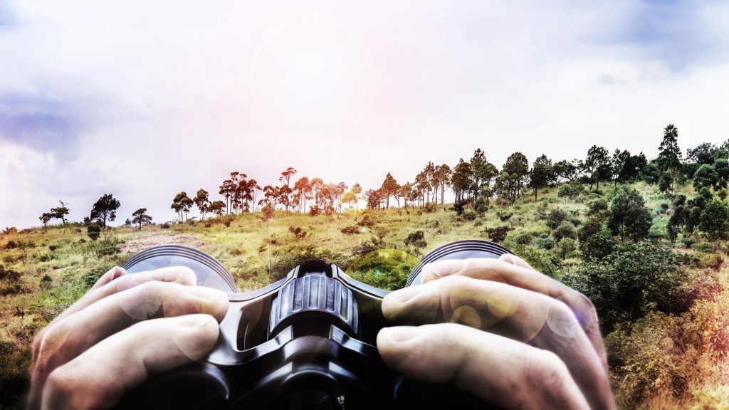 binoculars 10x42 vs 12x50