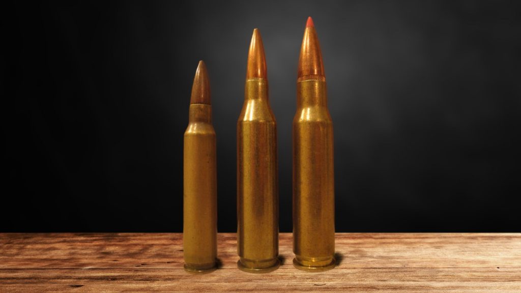 Best 243 Bullet for Deer