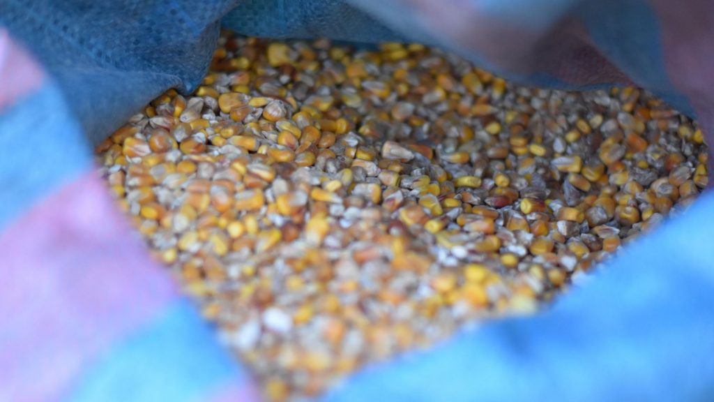 Best Deer Attractant to Mix with Corn