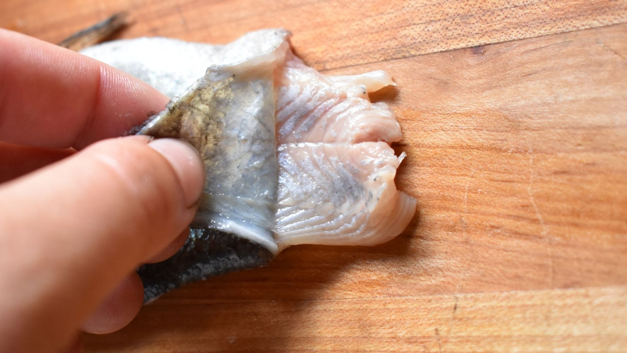 How to Clean a Trout Easily