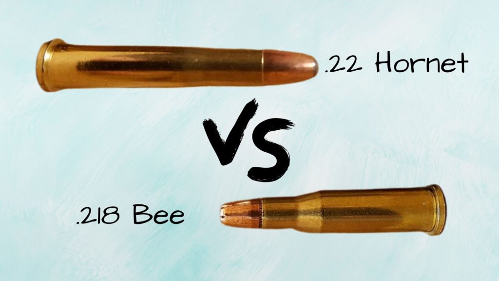 218 Bee vs 22 Hornet