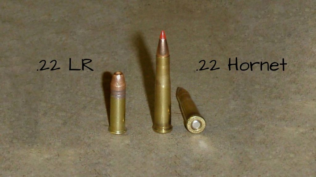 22 Hornet vs 22 LR