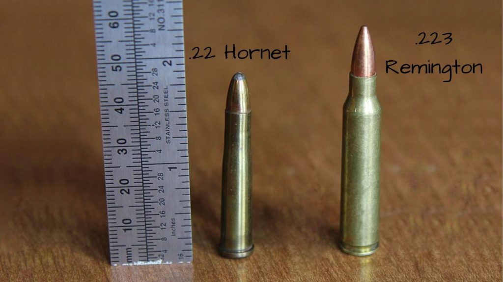 22 Hornet vs 223