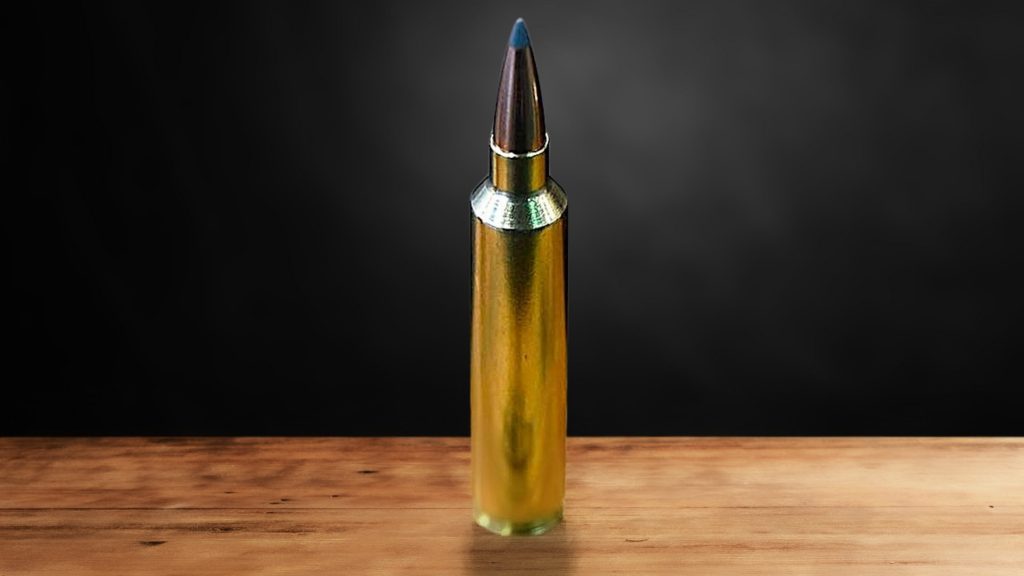 28 Nosler For Moose Hunting: Is it Effective?