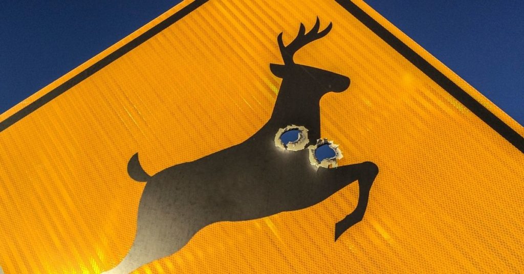 Complete Guide to Deer Hunting For Beginners