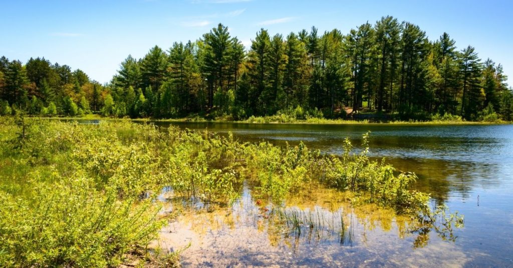 Best Places to Fish in Michigan Without a Boat