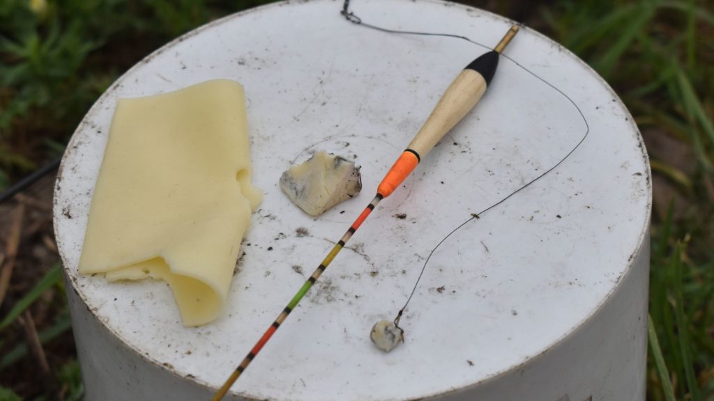 Do Fish Like Cheese