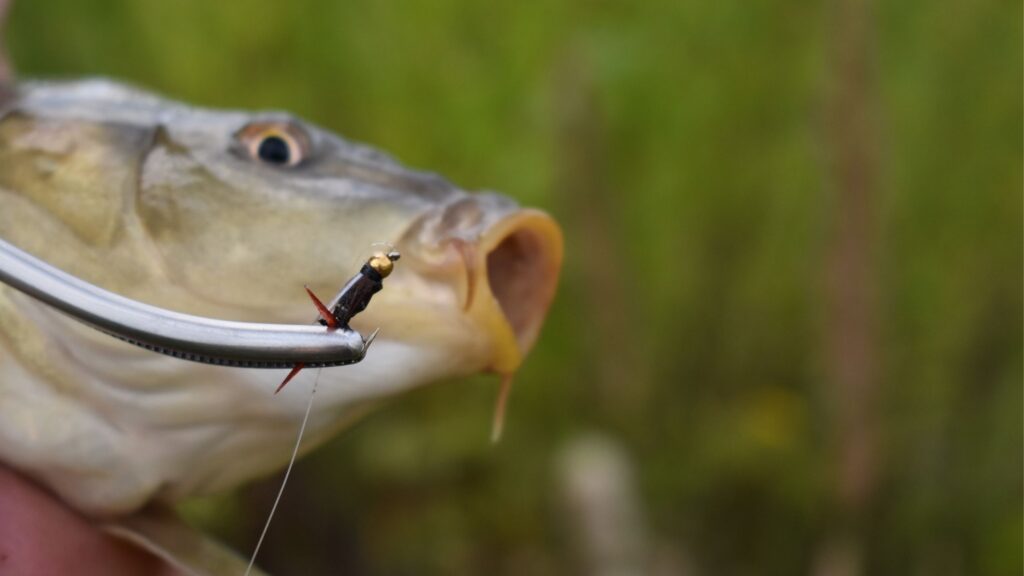 Hook remover for fish guide