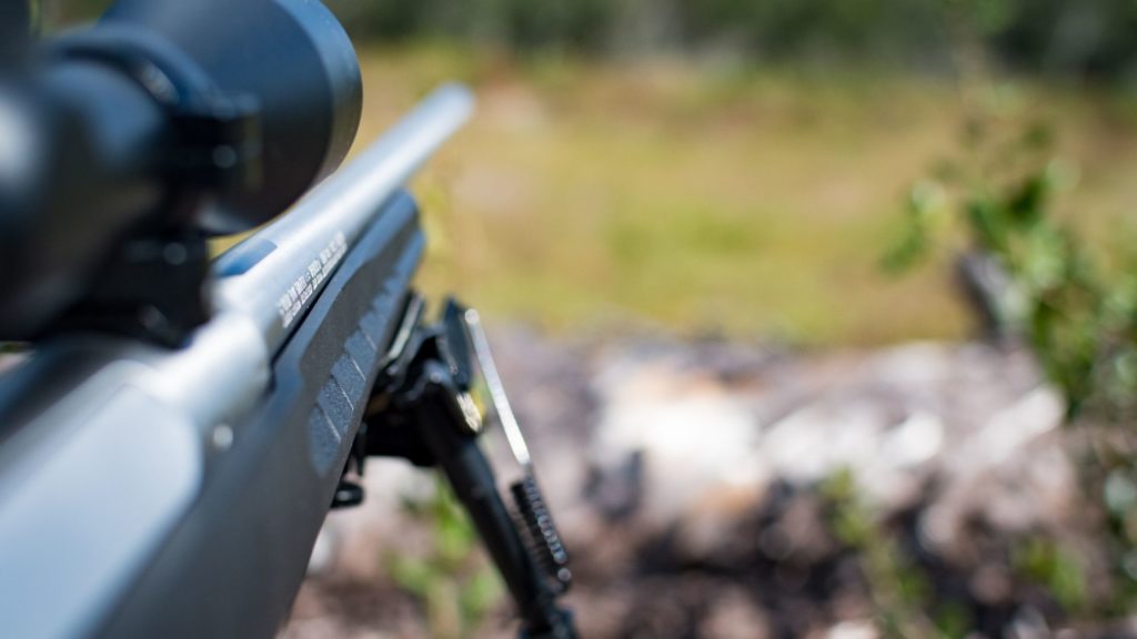 Blued vs Stainless barrel