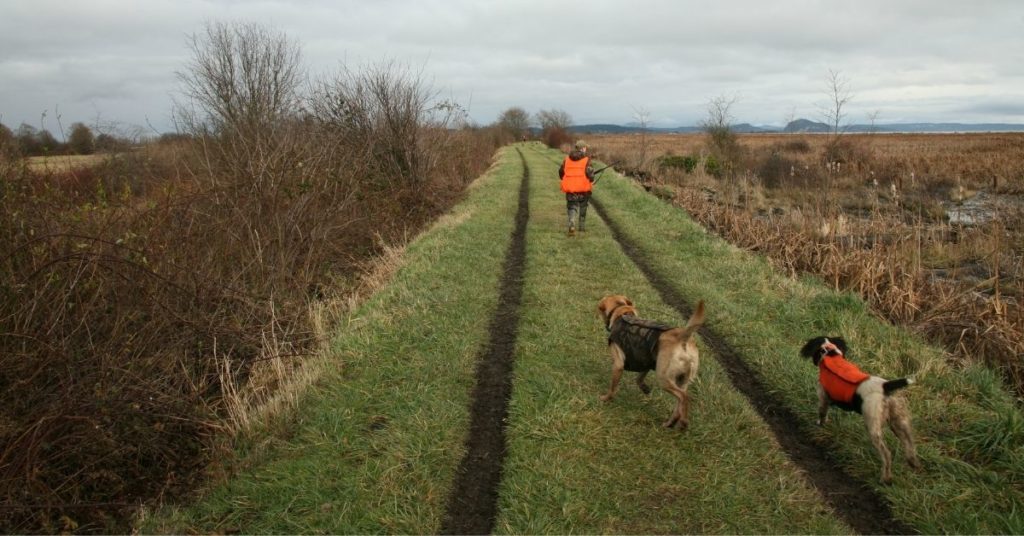 Duck Hunting Without Decoys