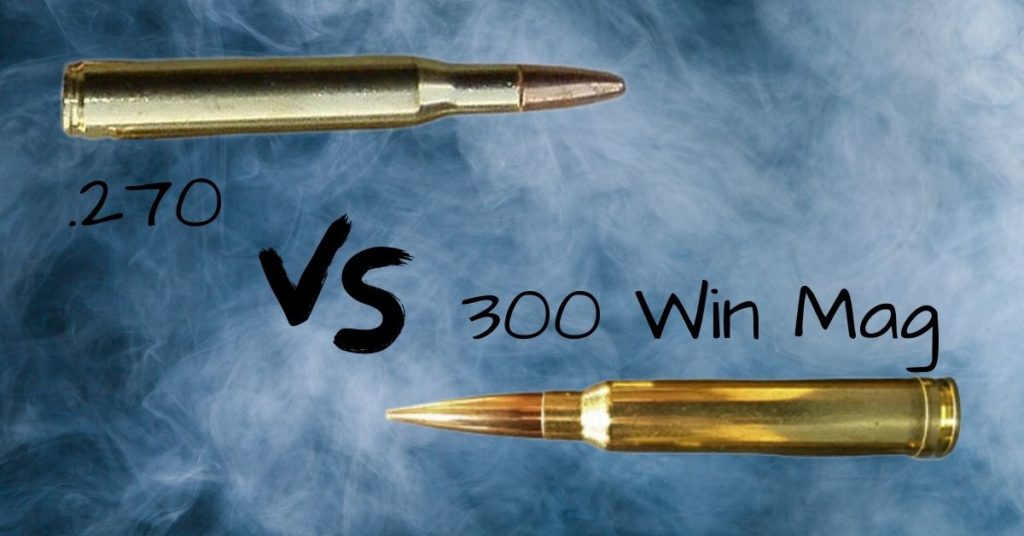 270 vs 300 Win Mag