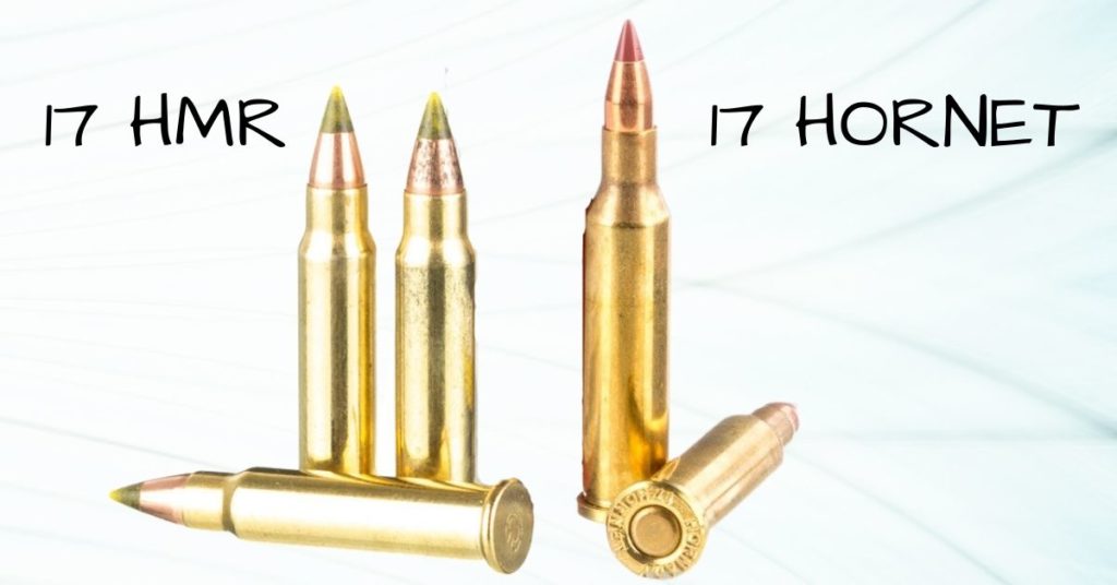 17 HMR vs 17 Hornet: What’s the Difference?