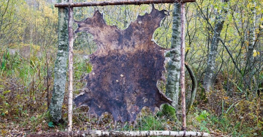 3 Ways to Skin a Moose
