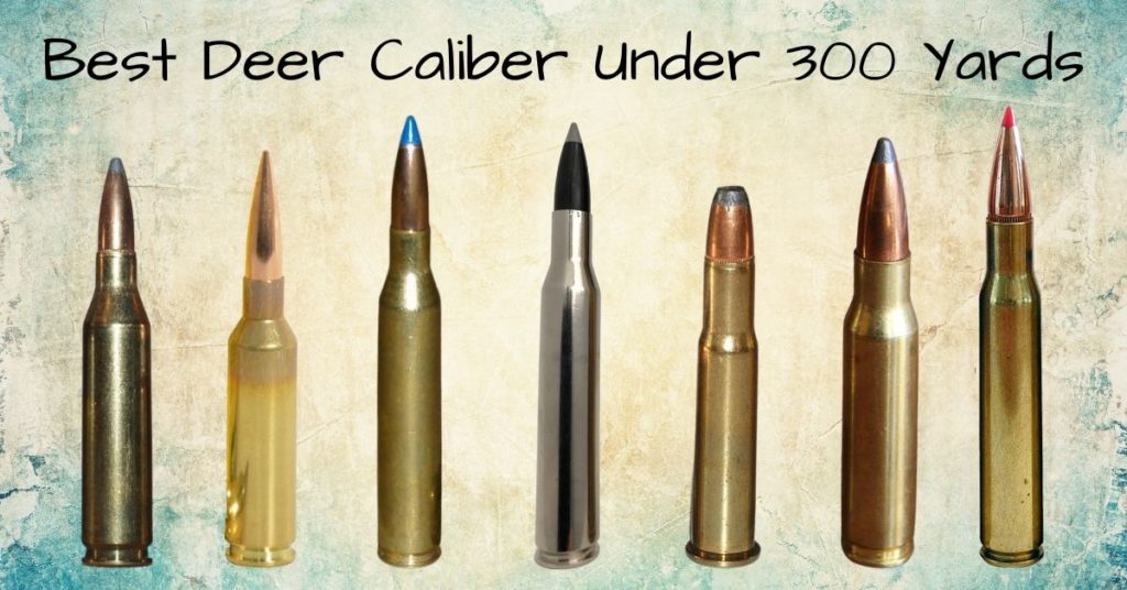 Best Deer Caliber Under 300 Yards