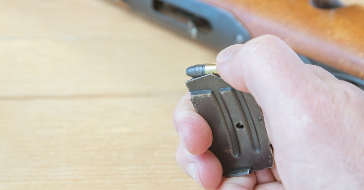 Can a 22 Kill a Coyote? (Explained)