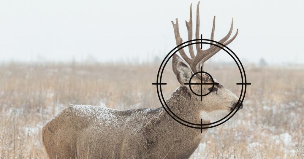 Deer Headshots and Ethics