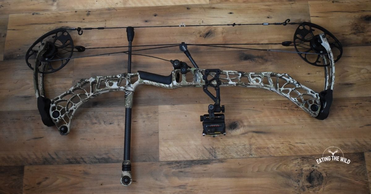 Squirrel Hunting Gear You Need to Succeed