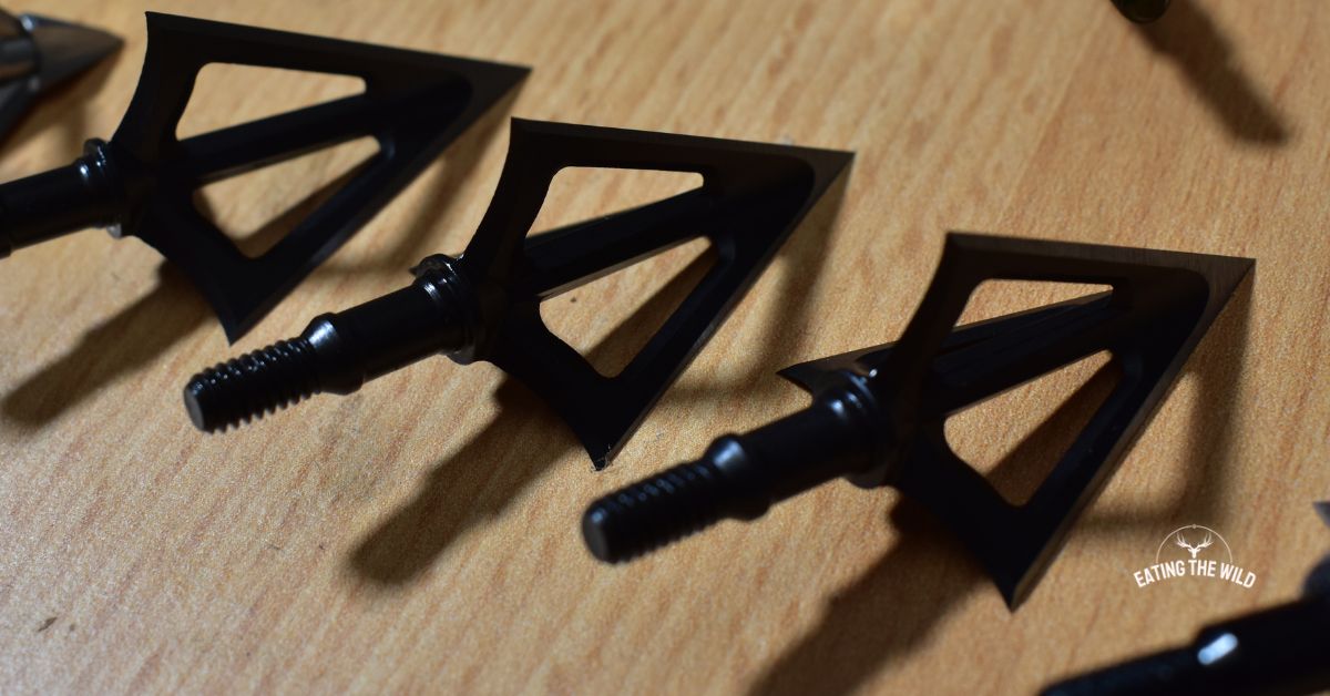 6 Best Broadheads for Hogs 2022