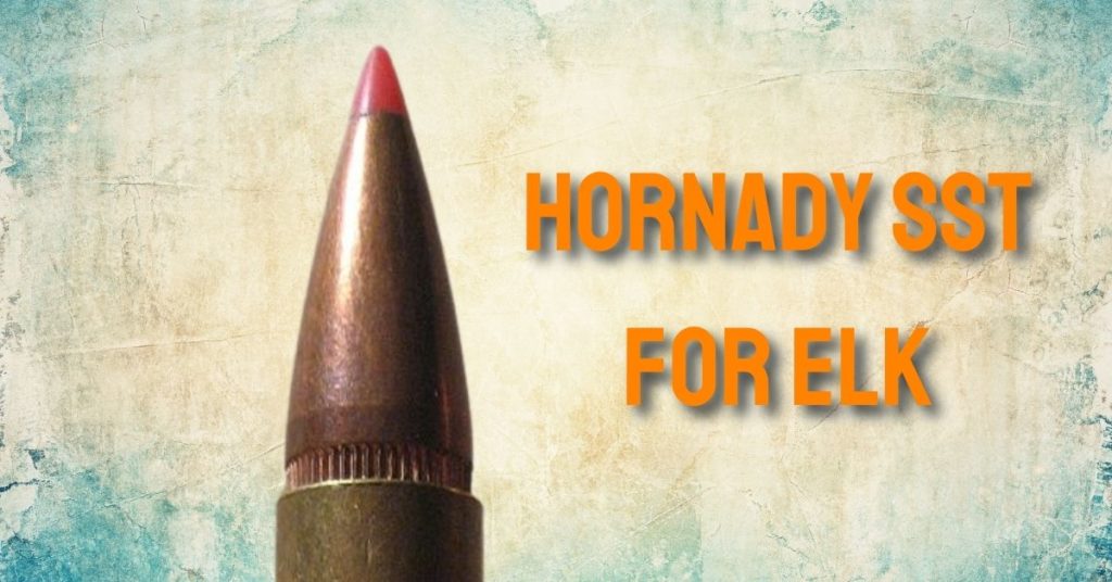 Is Hornady SST Good For Elk?