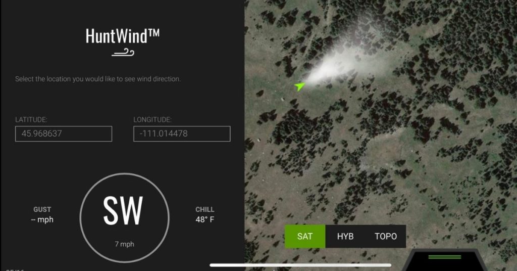 How Much Wind is Too Much For Deer Hunting