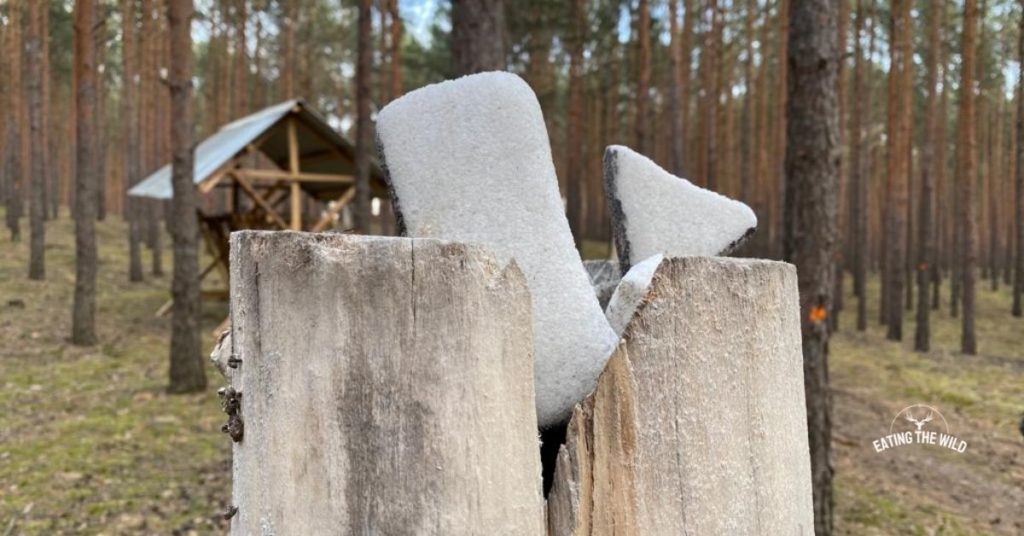 Why do Deer Like Salt Blocks