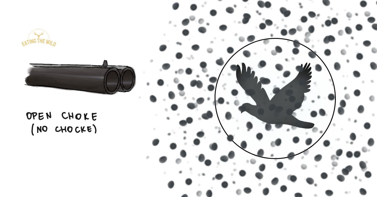 Best Choke For Dove Hunting