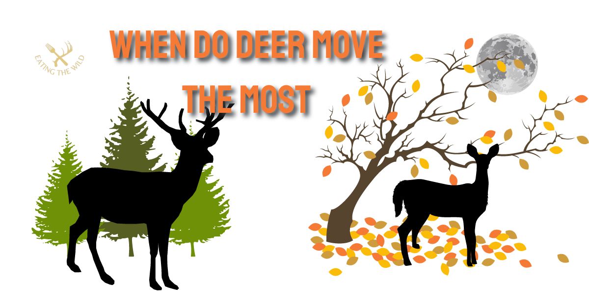 When do Deer Move the Most?
