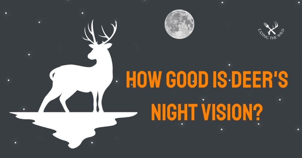 How Good is Deer's Night Vision?