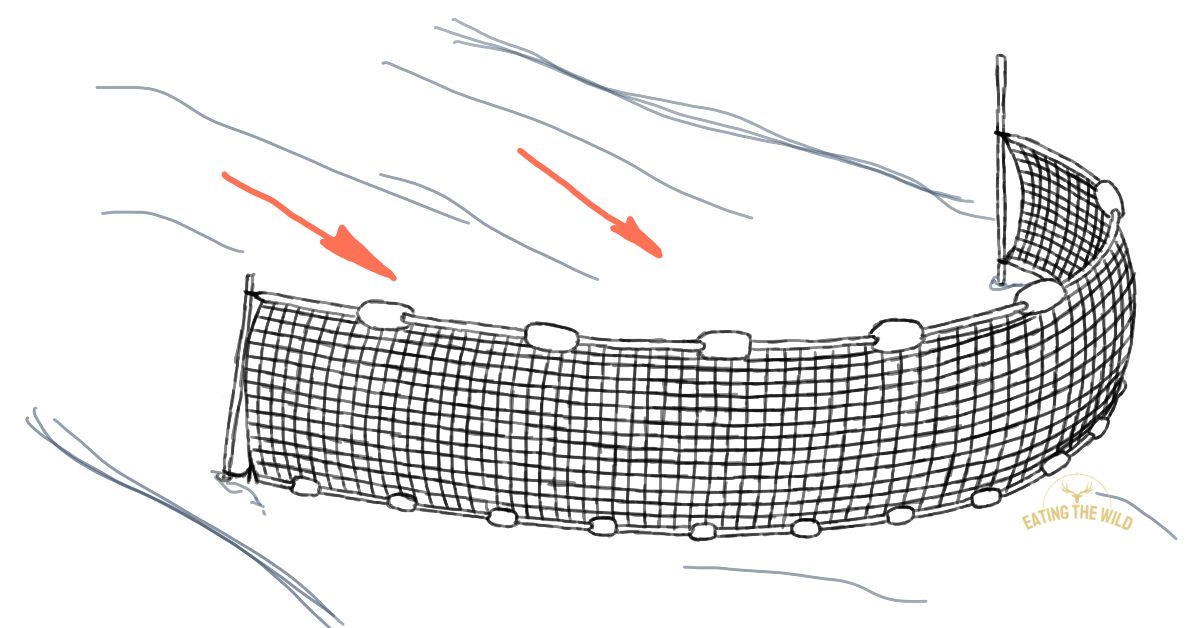 How to Seine For Minnows