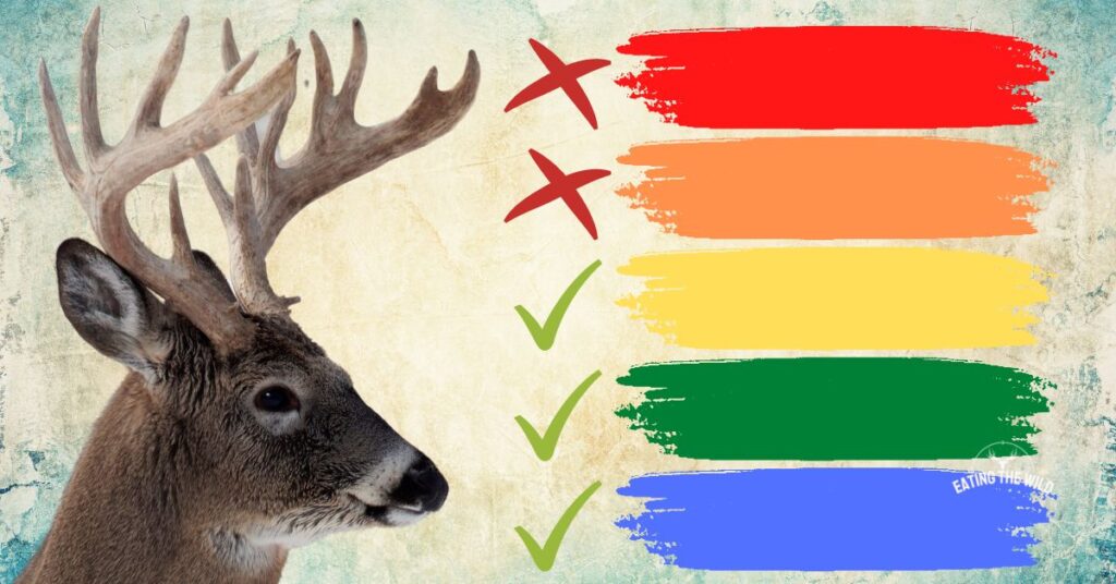 What Colors Can Deer Not See?