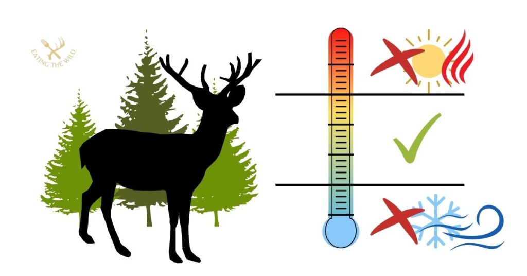 When do Deer Move the Most