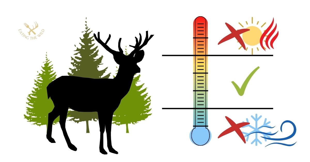 When do Deer Move the Most?