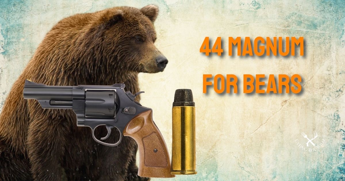 44 Magnum For BearWhat you Should Know