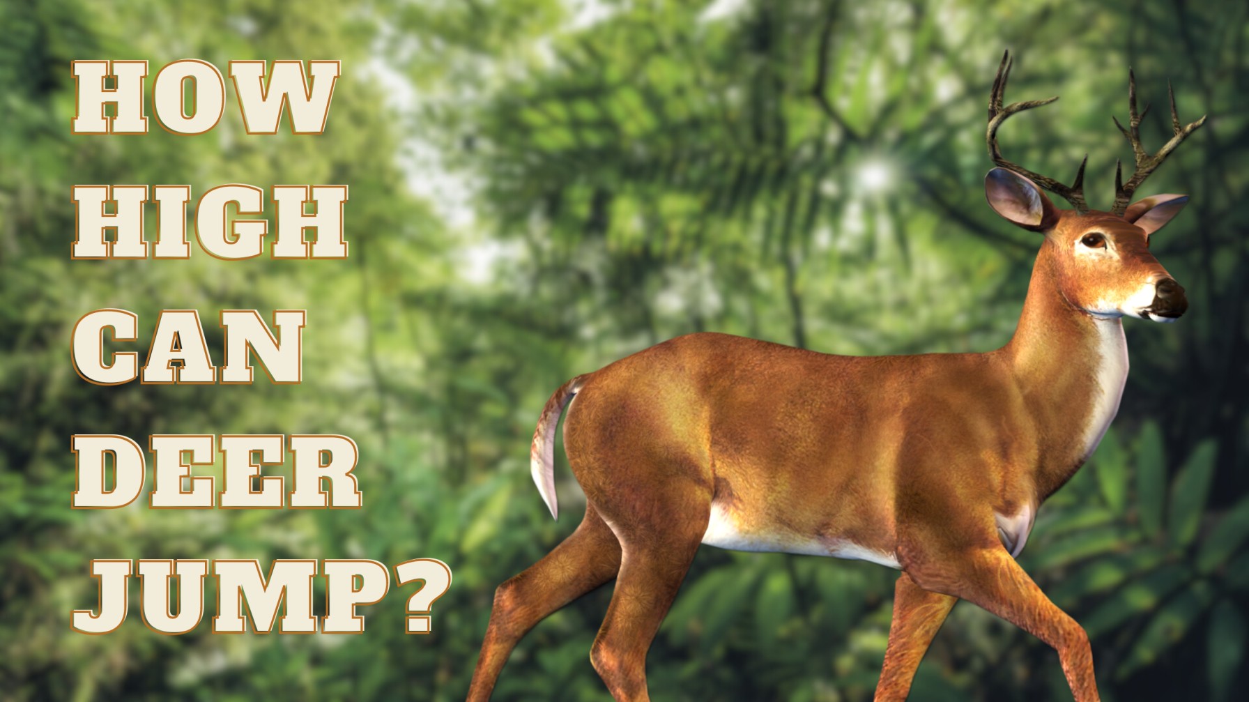 How High Can Deer Jump?