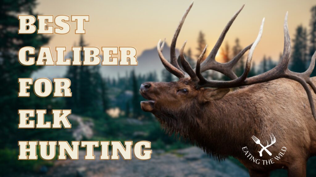 The Best Caliber For Elk Hunting