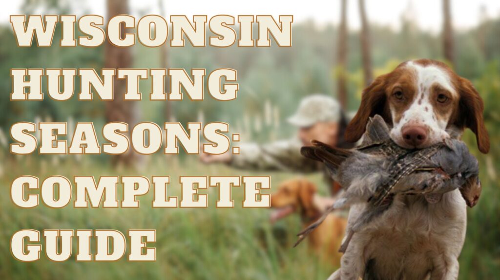 Wisconsin Hunting Seasons: Complete Guide