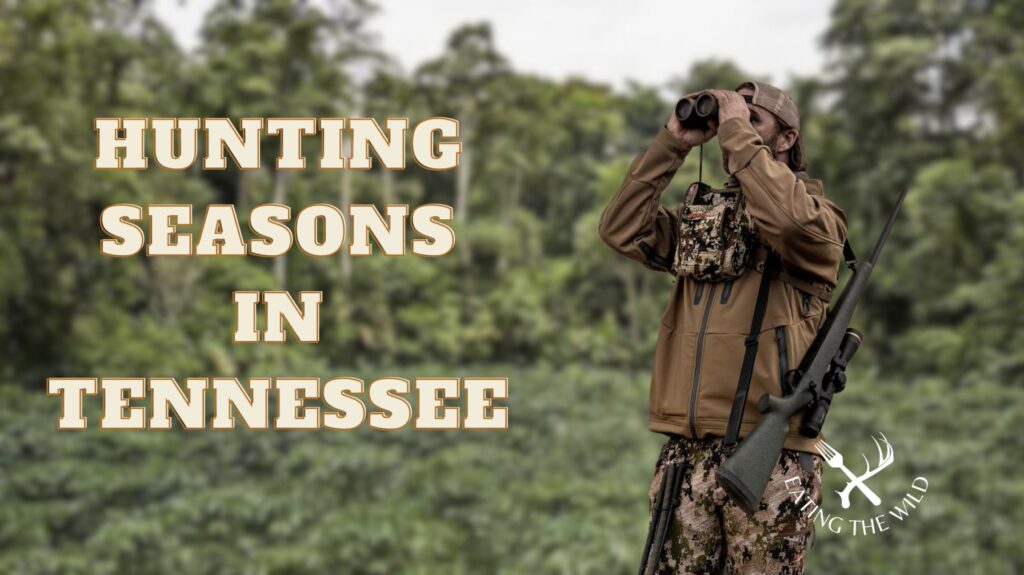 Deer Hunting in Tennessee