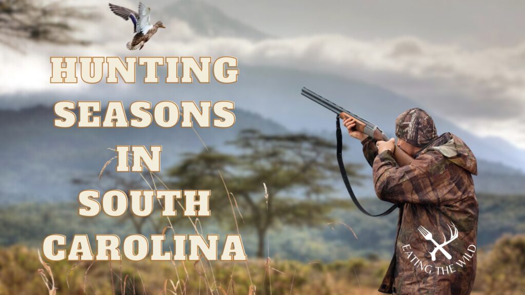 Hunting Seasons in South Carolina