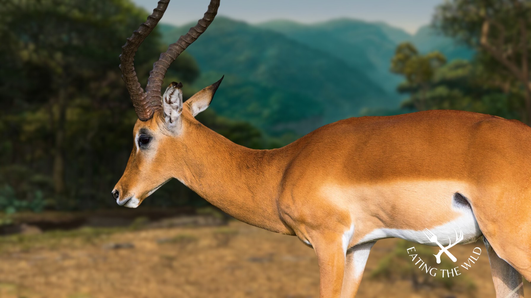 Hunting-Seasons-in-South-Dakota-2