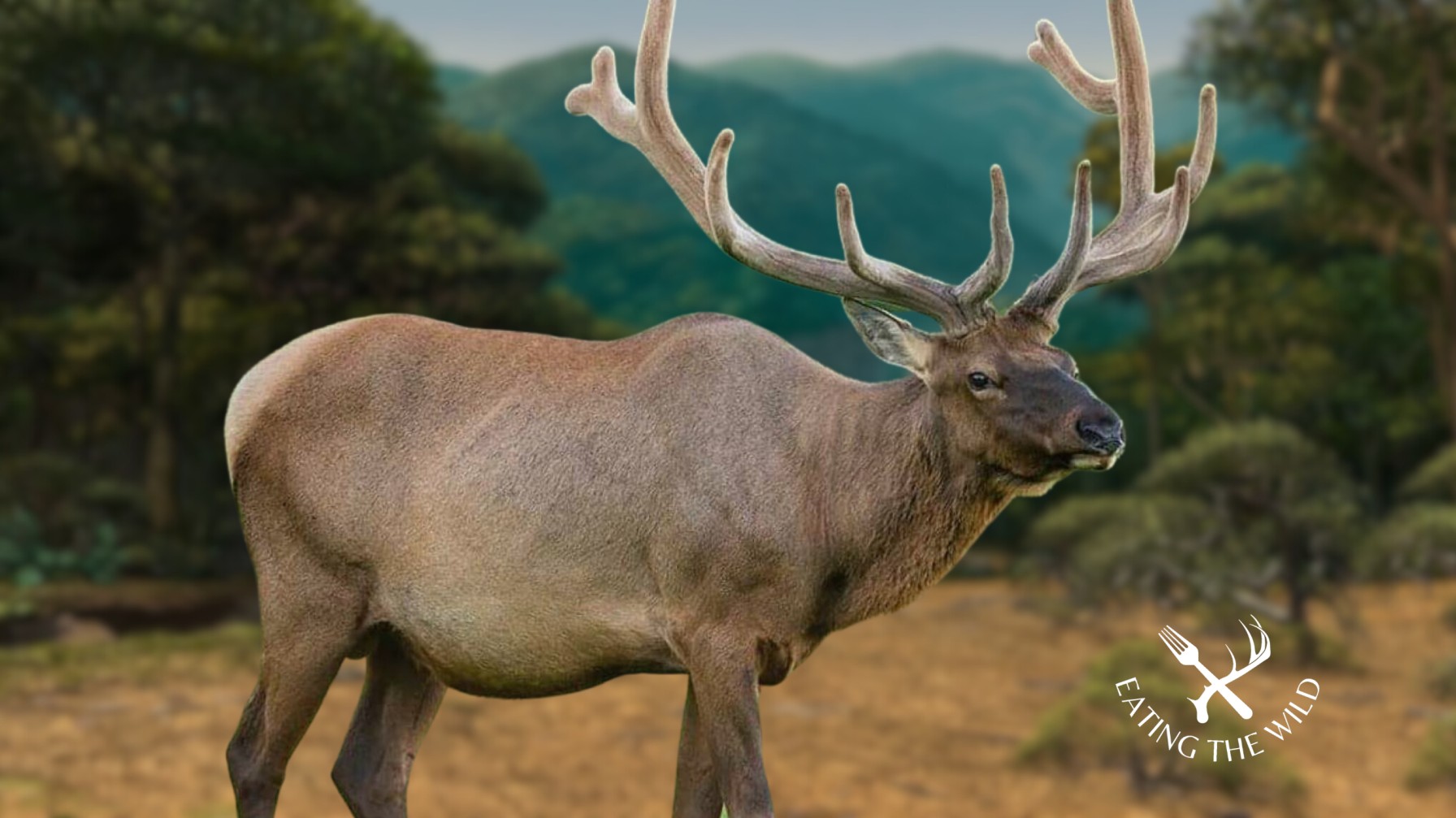 Hunting-Seasons-in-South-Dakota-3