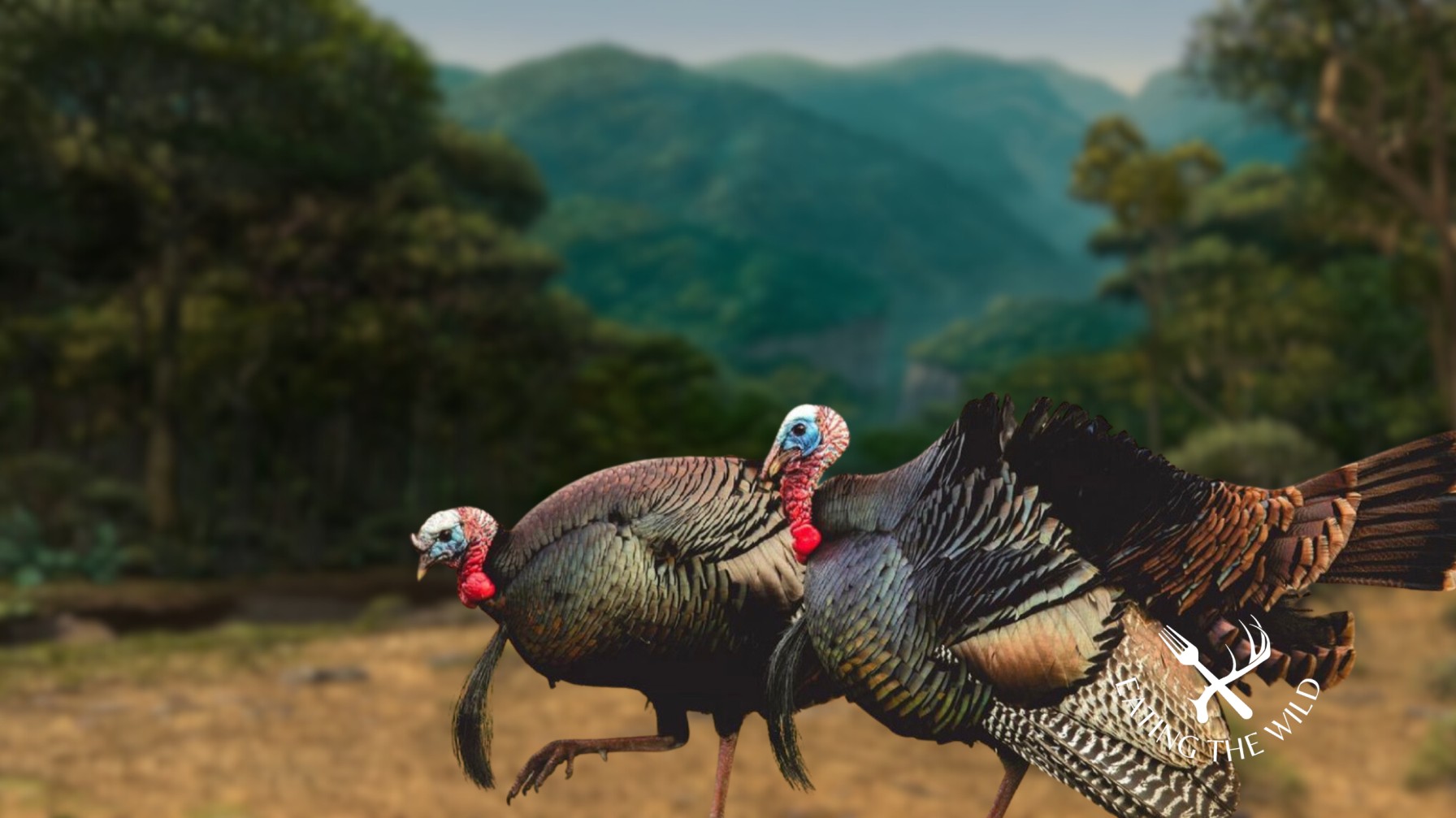 Hunting-Seasons-in-South-Dakota-5