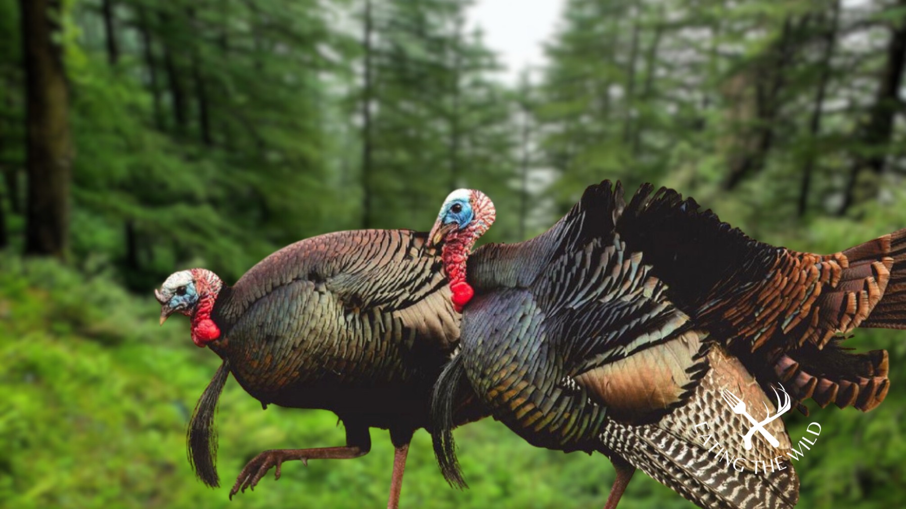 Hunting-Season-in-Oklahoma-4