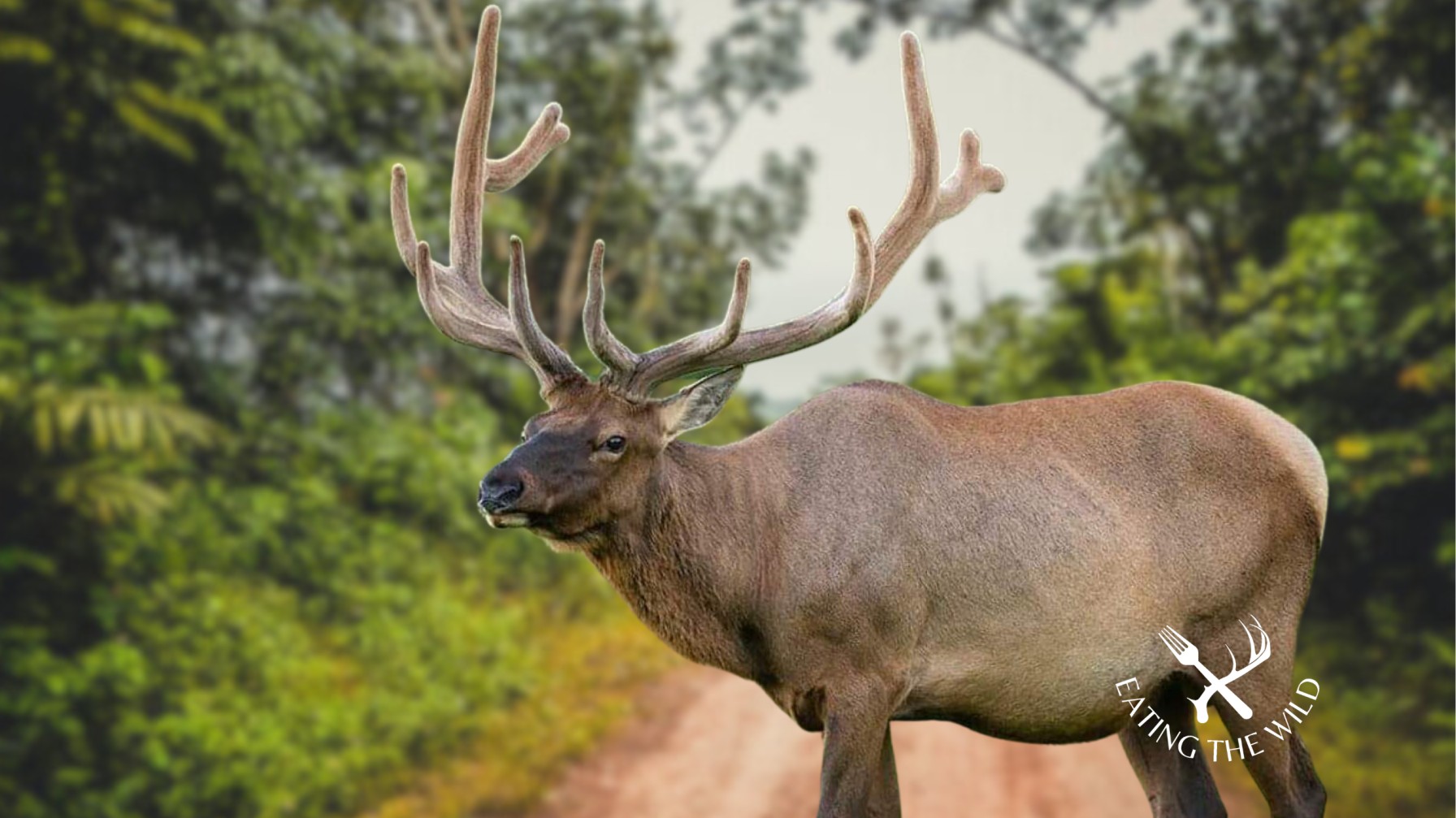 Hunting-Seasons-in-North-Dakota-4